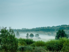 viktor enns fotografie-dalay zigarren golf turnier-019.jpg