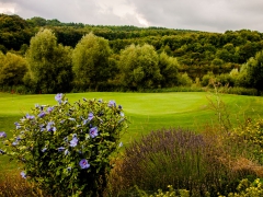 viktor enns fotografie-dalay zigarren golf turnier-022.jpg