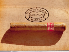 erfort partagas charity dinner-030